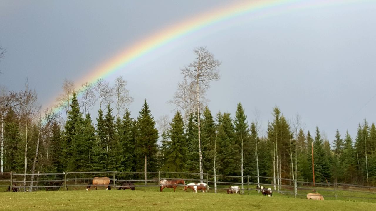 Wettstone Guest Ranch Bed & Breakfast Bridge Lake Luaran gambar
