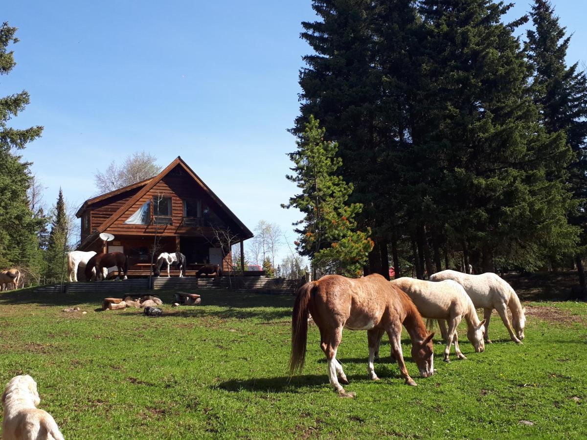 Wettstone Guest Ranch Bed & Breakfast Bridge Lake Luaran gambar